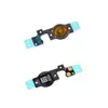 Шлейф внутренней кнопки home для iPhone 5C миниатюра 1